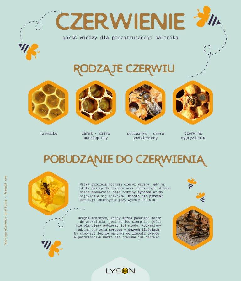 Kolo Pszczelarzy W Rawiczu Poznaj Nasze Pszczoly