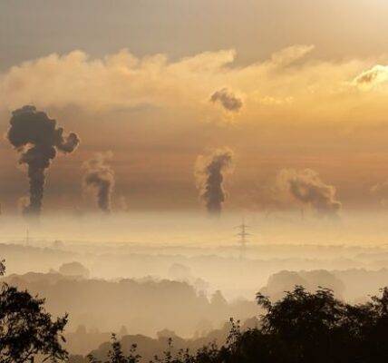 zanieczyszczenie środowiska