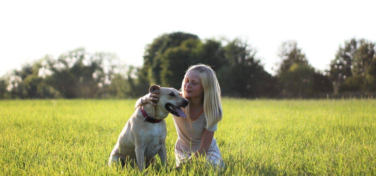 dziewczynka i pies w trawie