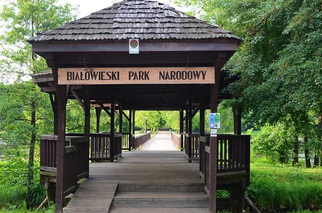 wejście do Białowieskiego Parku Narodowego