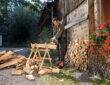Pilarki Stihl idealne do ogrodu