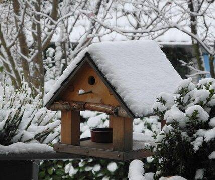 karmnik dla ptaków zimą
