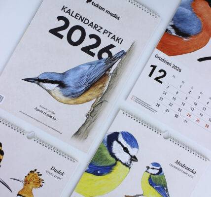 Kalendarz z ptakami